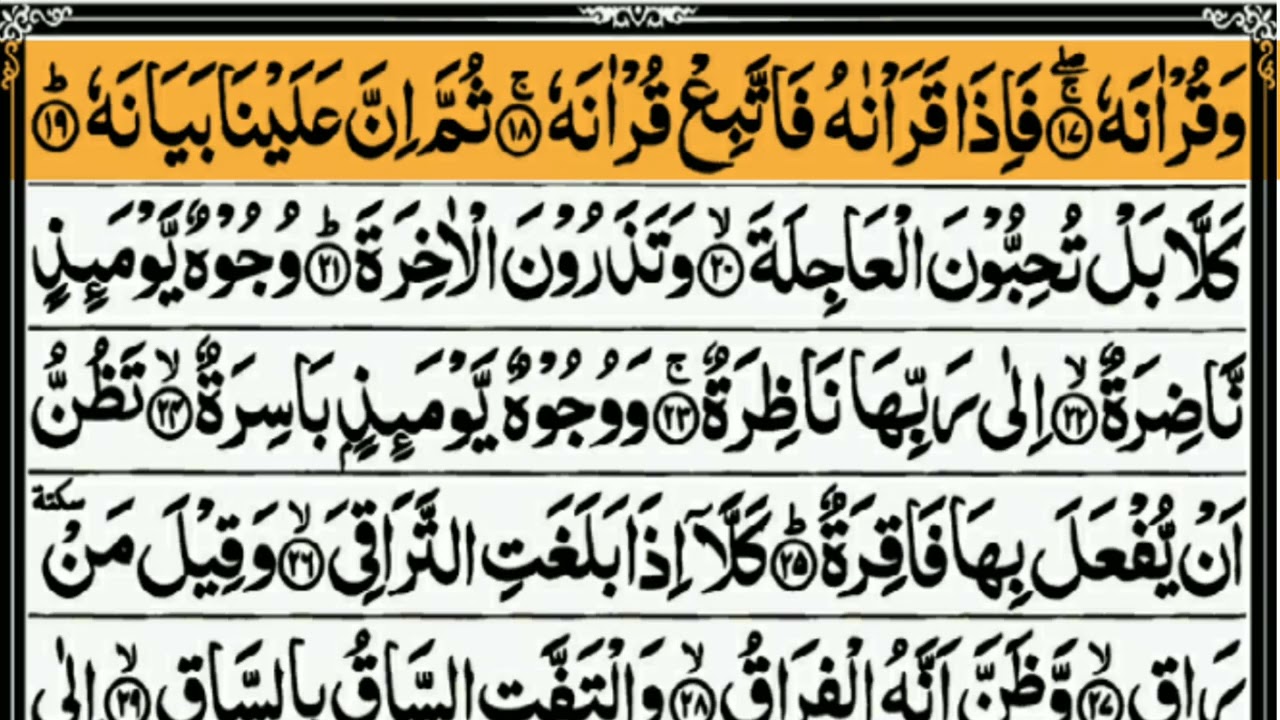 سورۃ القیامۃ  ایسی پُرسوز تلاوت جو دل کو جھنجھوڑ دے | قیامت کی یاد دہانی