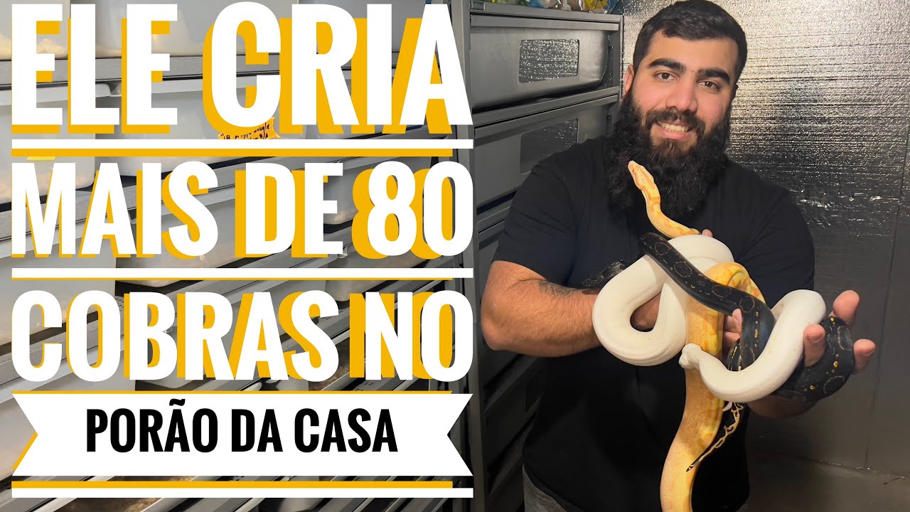 Casa nova do Maykol, mais de 80 COBRAS no porão