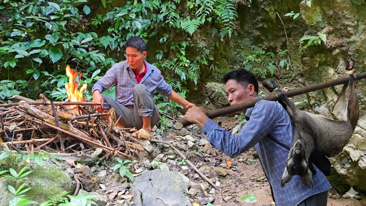 Wild Goat Tracking Survival Skills | Finding Signs and Trapping Goats in Nature