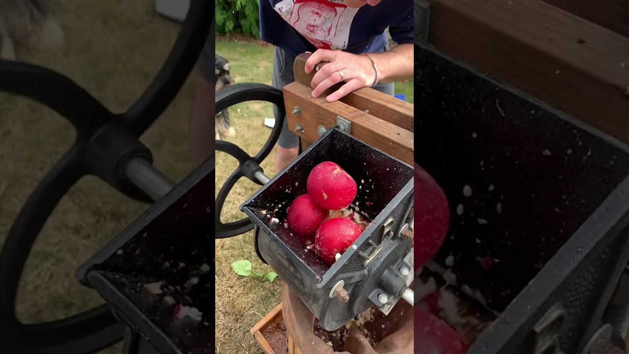 🍎 А у кого-нибудь ещё в семье делают яблочный сок по старинке? #шорты #яблоки #путешествия #орегон