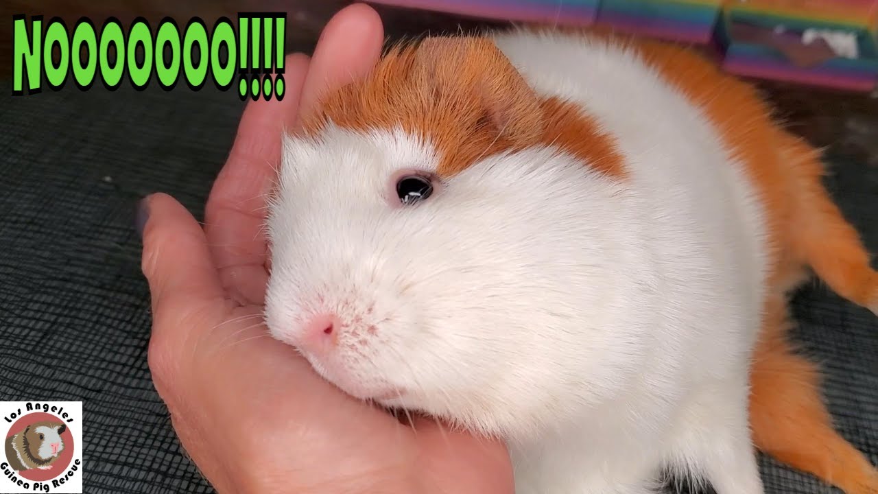 Big Mama's Final Days Left Us All Speechless PLUS Cause of Death Revealed