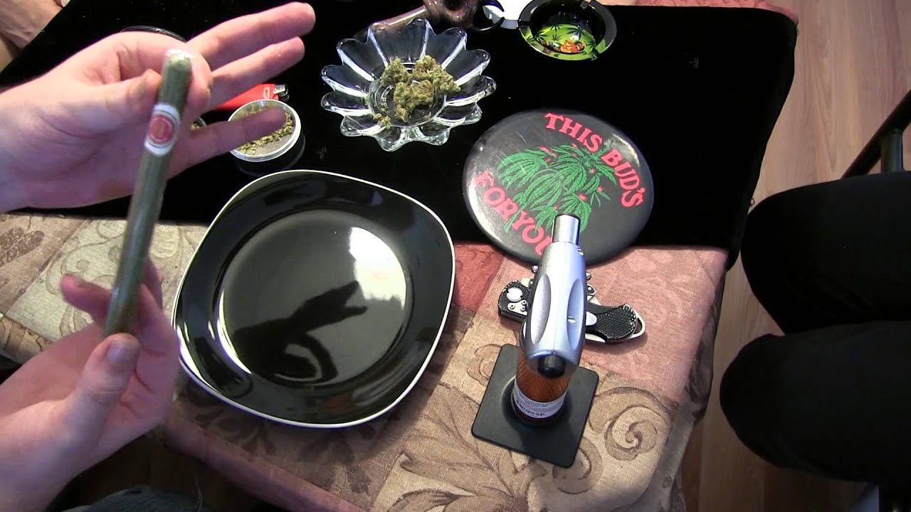 Strain Review Templar Haze, Kosher Kush