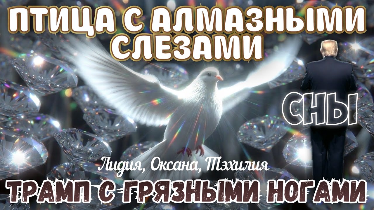 ПТИЦА С АЛМАЗНЫМИ СЛЕЗАМИ. ТРАМП С ГРЯЗНЫМИ НОГАМИ. СНЫ И ТОЛКОВАНИЯ. Лидия, Оксана, Тэхилия