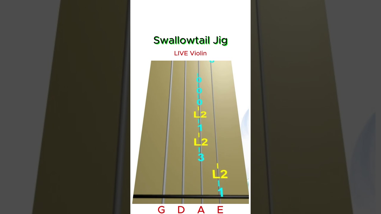 SWALLOWTAIL JIG 🍀 | Irish Fiddle Tune Violin Play-Along