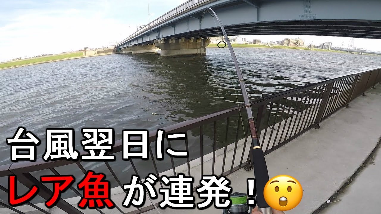 【中川河口】台風翌日は魚が釣れる？荒川の隣の細長い川でぶっこみ釣りをしてみたら…【2019.09.09】