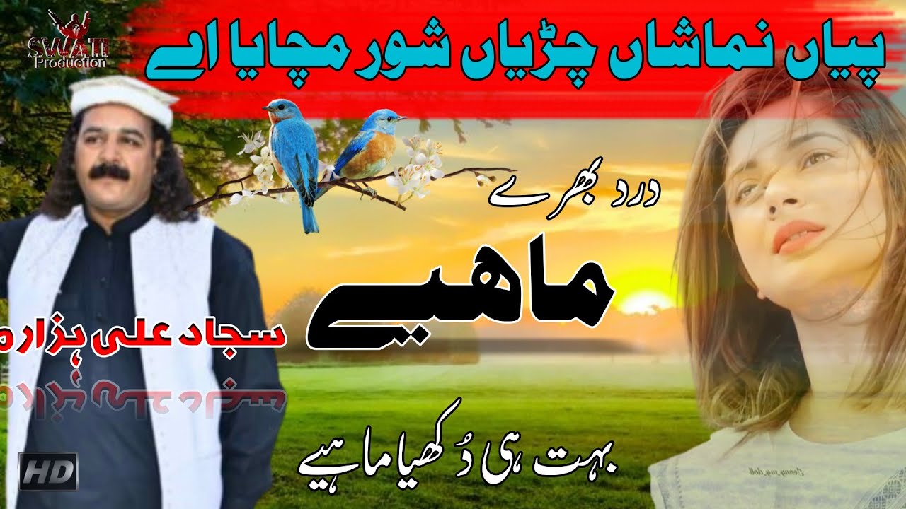Sajad Ali Hazara | Piyan Namashan | Hindko New Dukhi Mahiye