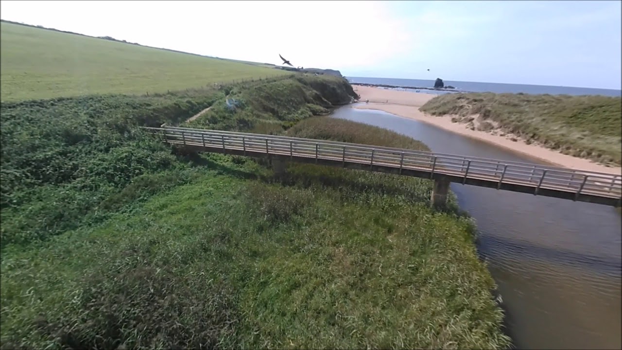 Welcome to the South Hams