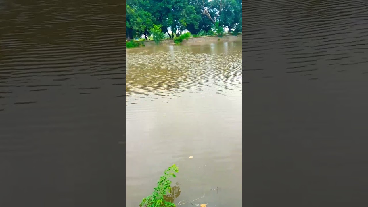 Fulhar Jheel Ma Gomati  Udgam Sthal || Pilibhit@🙏#🤗