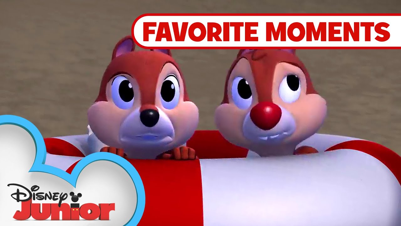 Nutty Tales Compilation! Part 3 | Chip 'N Dale's Nutty Tales | Disney Junior
