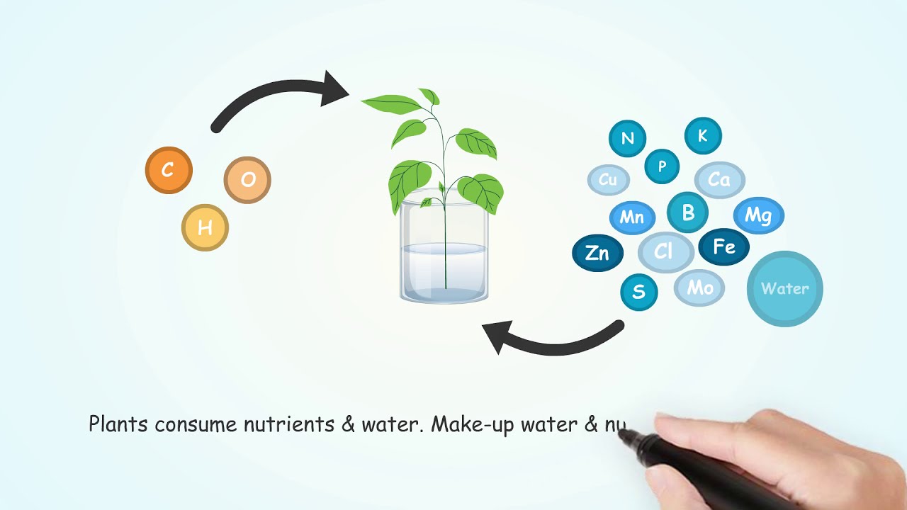 Hydroponic Nutrient Management- Easily, Professionally
