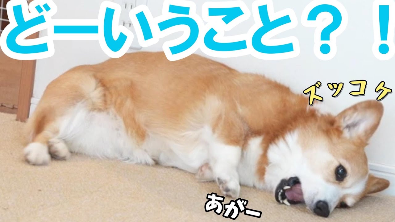昼間仕事中の父が突然帰ってきたらこうなりました