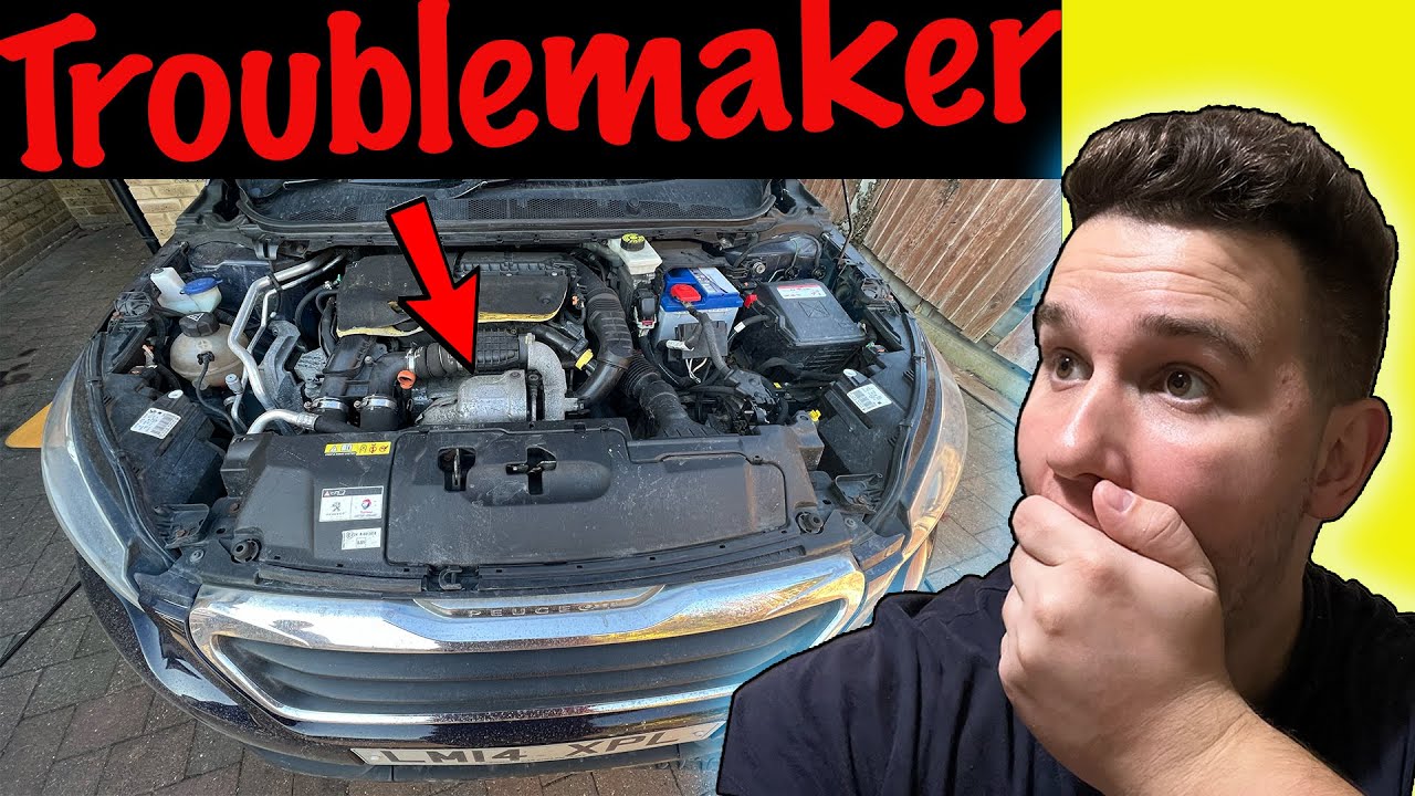 Peugeot 308 1.6 BlueHDi T9 PreCatalyst DPF Removal