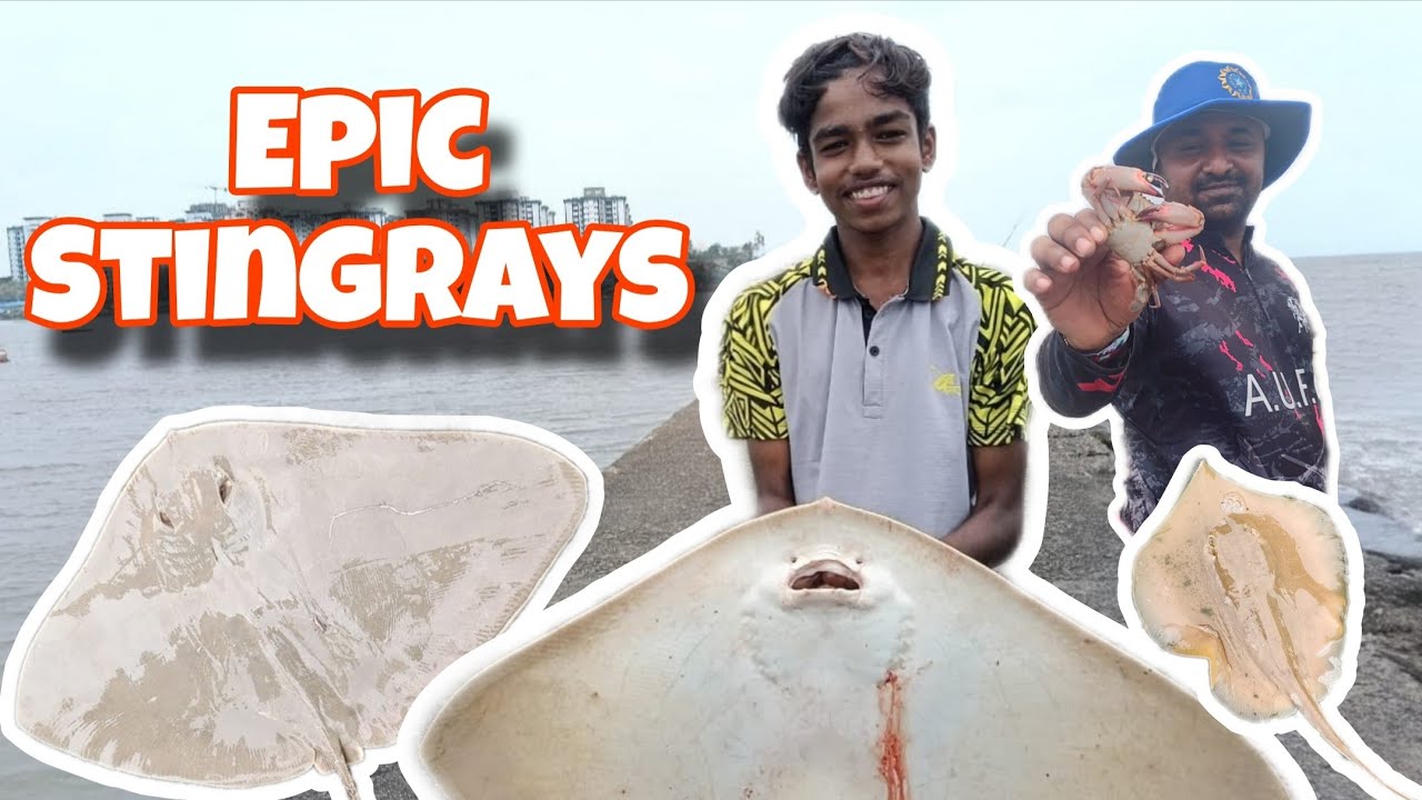 🎣 Epic Stingray Fishing in Mumbai | मुंबईत जबरदस्त Stingray मासेमारी!! 🐟🎣