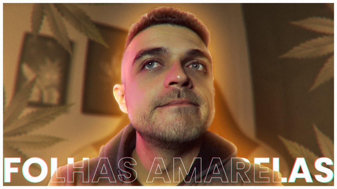 Folhas amarelas nas plantas