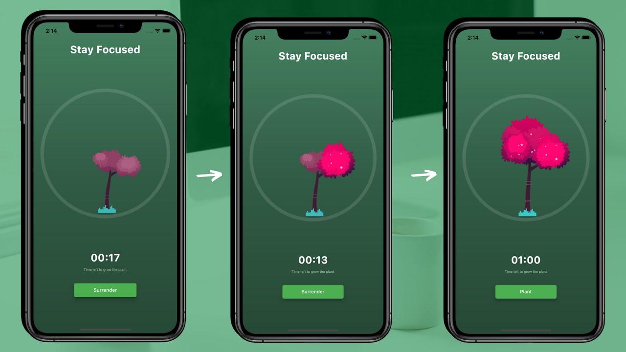 Flutter Plant Growing Animation with Rive