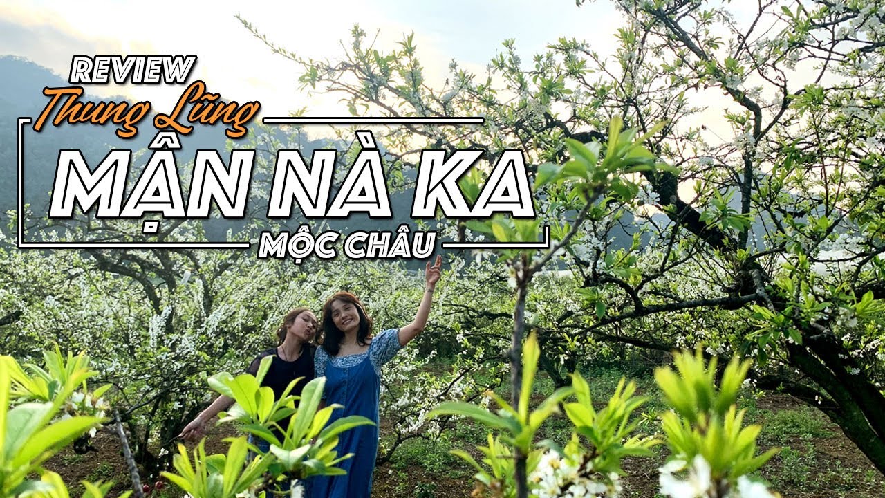 Review Thung Lũng Mận Nà Ka Mộc Châu Sơn La