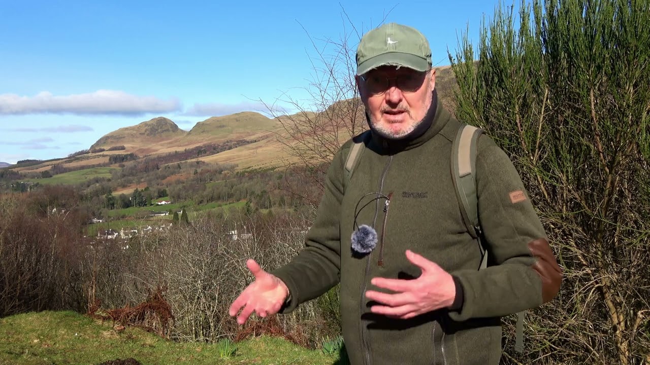 Identifying Trees between Strathblane and Milngavie