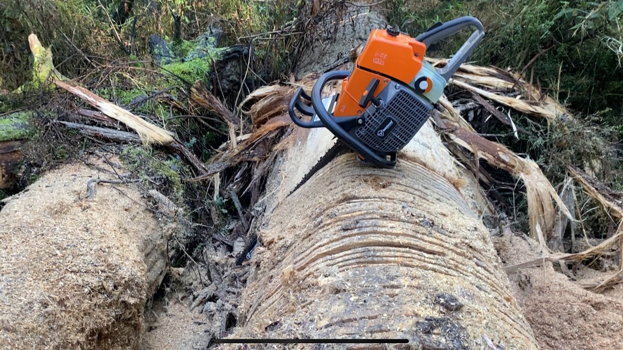 Holzforma G466 “stihl ms460 clone” 25in, break in!! Second Tank of fuel.