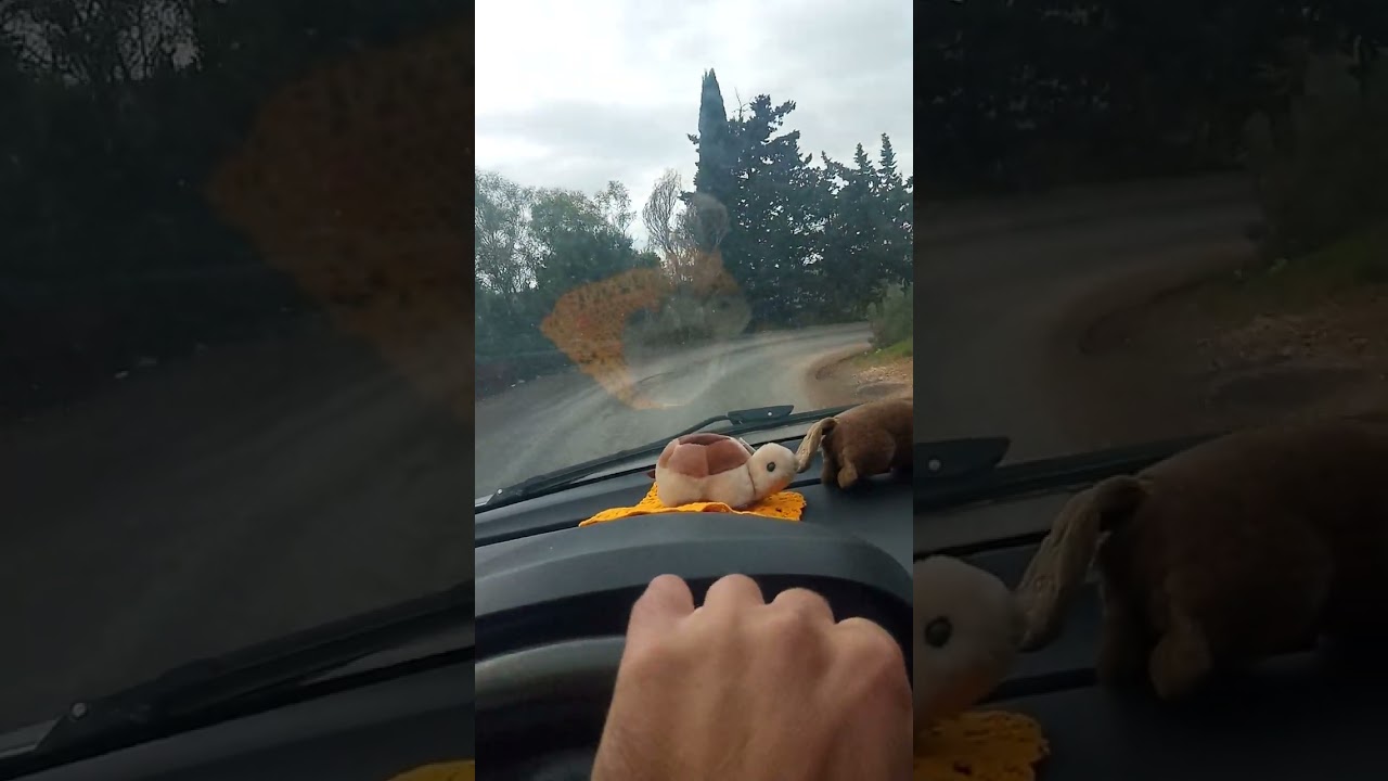 طريق  فلفلة القديمة على سفح الجبل بولاية سكيكدة الجميلة
