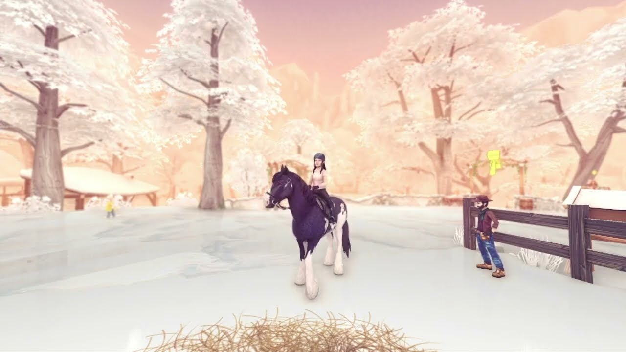 Nuova missione + bazaar! |Star Stable Online ITA