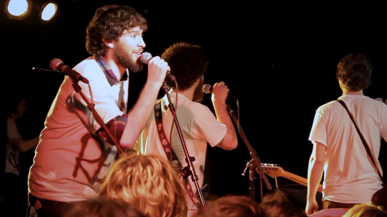 The Max Levine Ensemble 