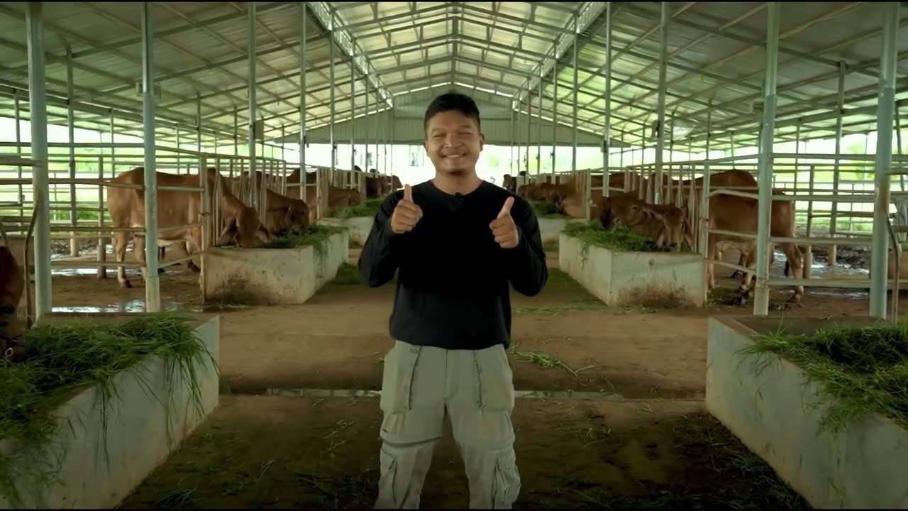 កសិដ្ឋាន SV RANCH 
