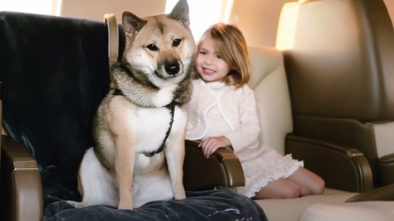 Private Jet Charter for Families - Monarch Air Group