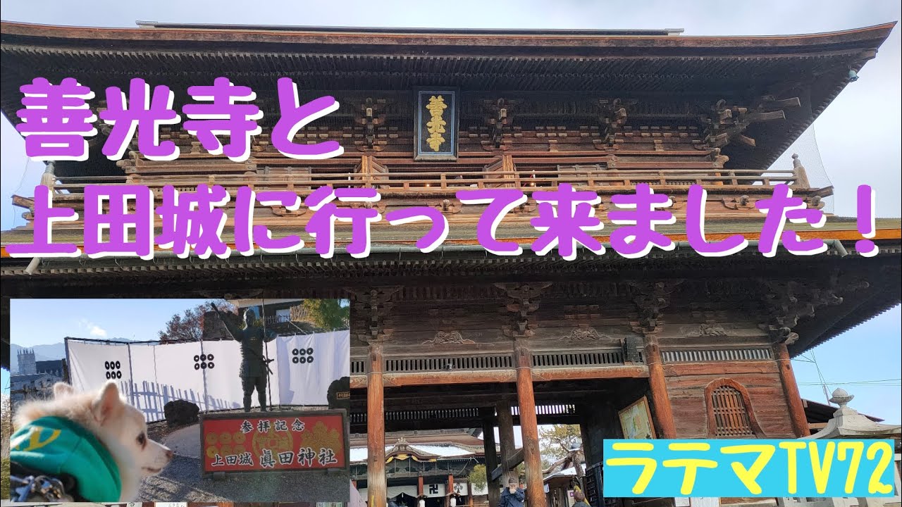 ラテマTV72