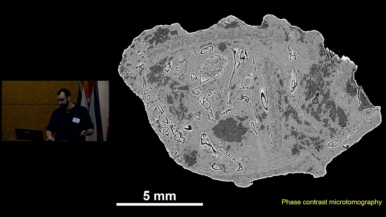 Vincent Fernandez - Digging virtually into large fossils using synchrotron X ray microtomography
