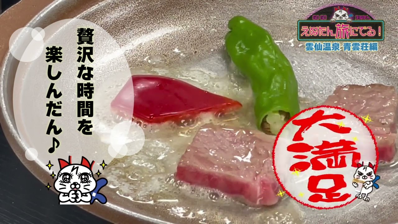 えぬたん旅に出る-青雲荘へ行ったんの巻-