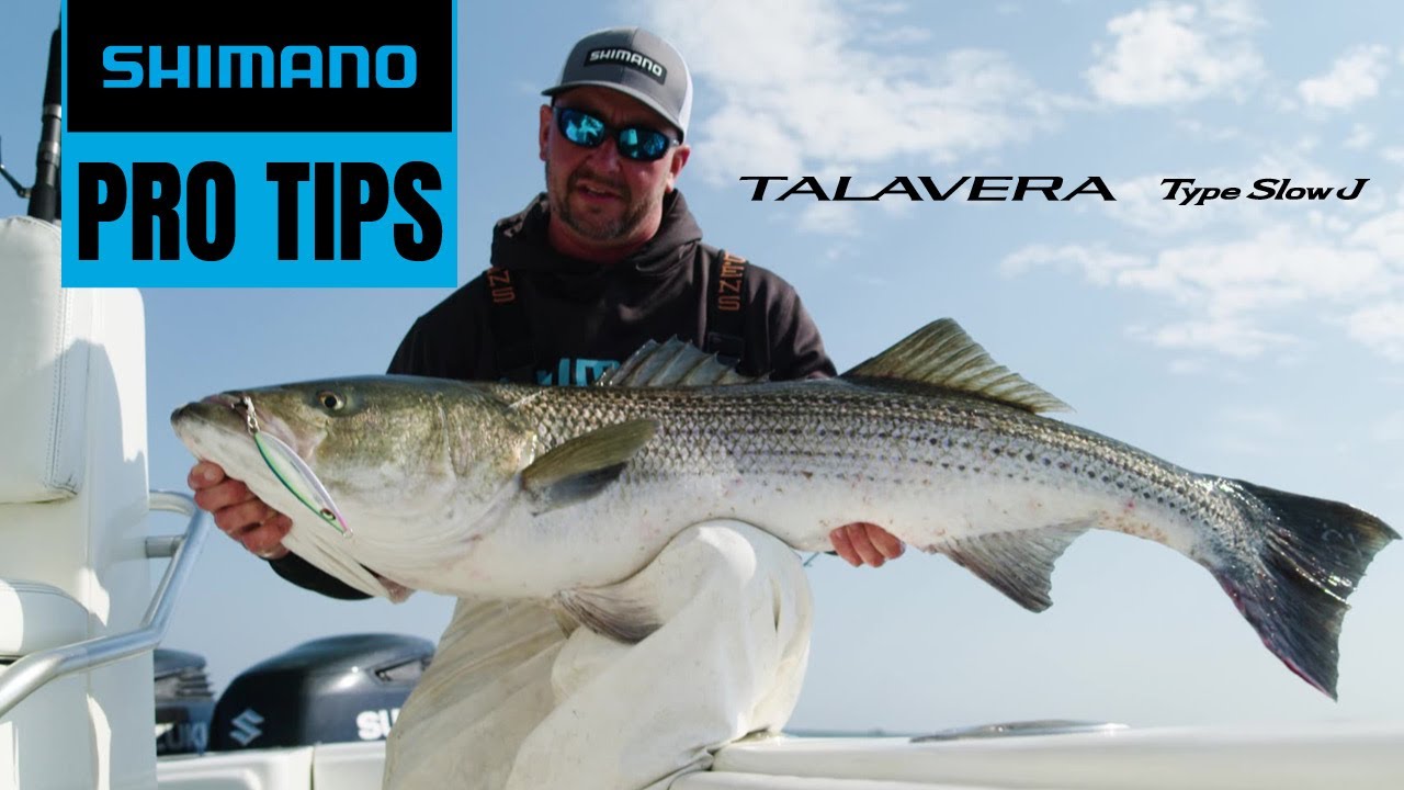 Slow-Pitch Jigging for Striped Bass | Pro Tips with Capt. Jack Sprengel
