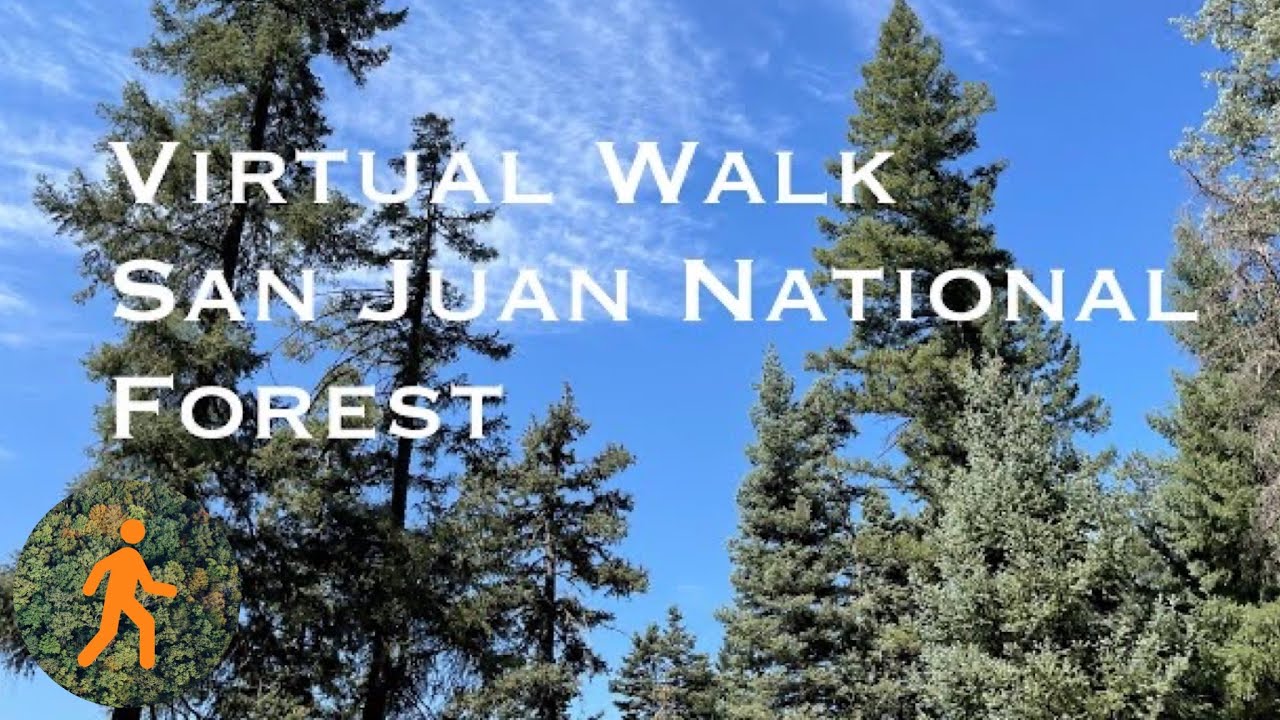 Hiking in Colorado - 4K Walk - Slow TV - No Narration