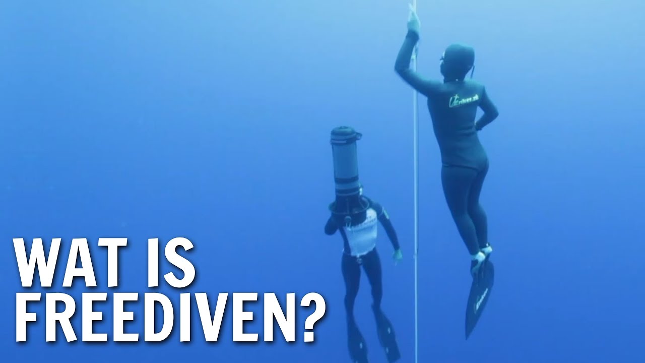 Wat is freediven? | De Buitendienst over duiken