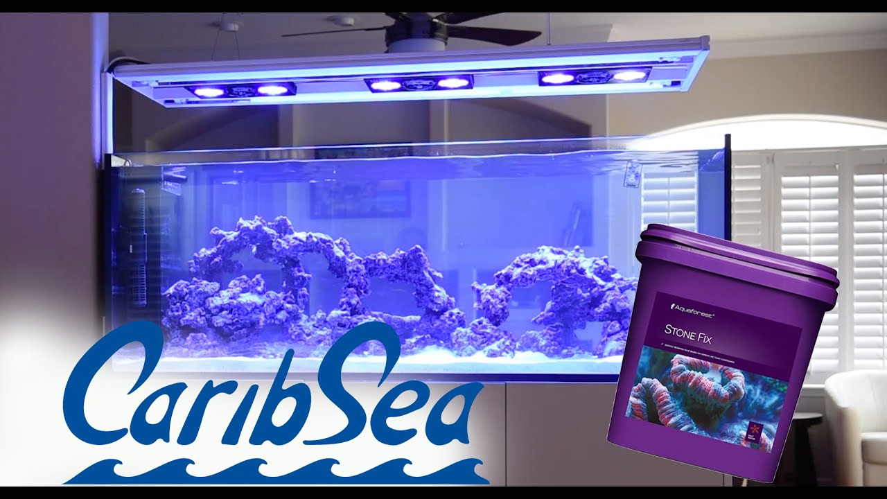 Aquascape Red Sea Reefer 650 Peninsula