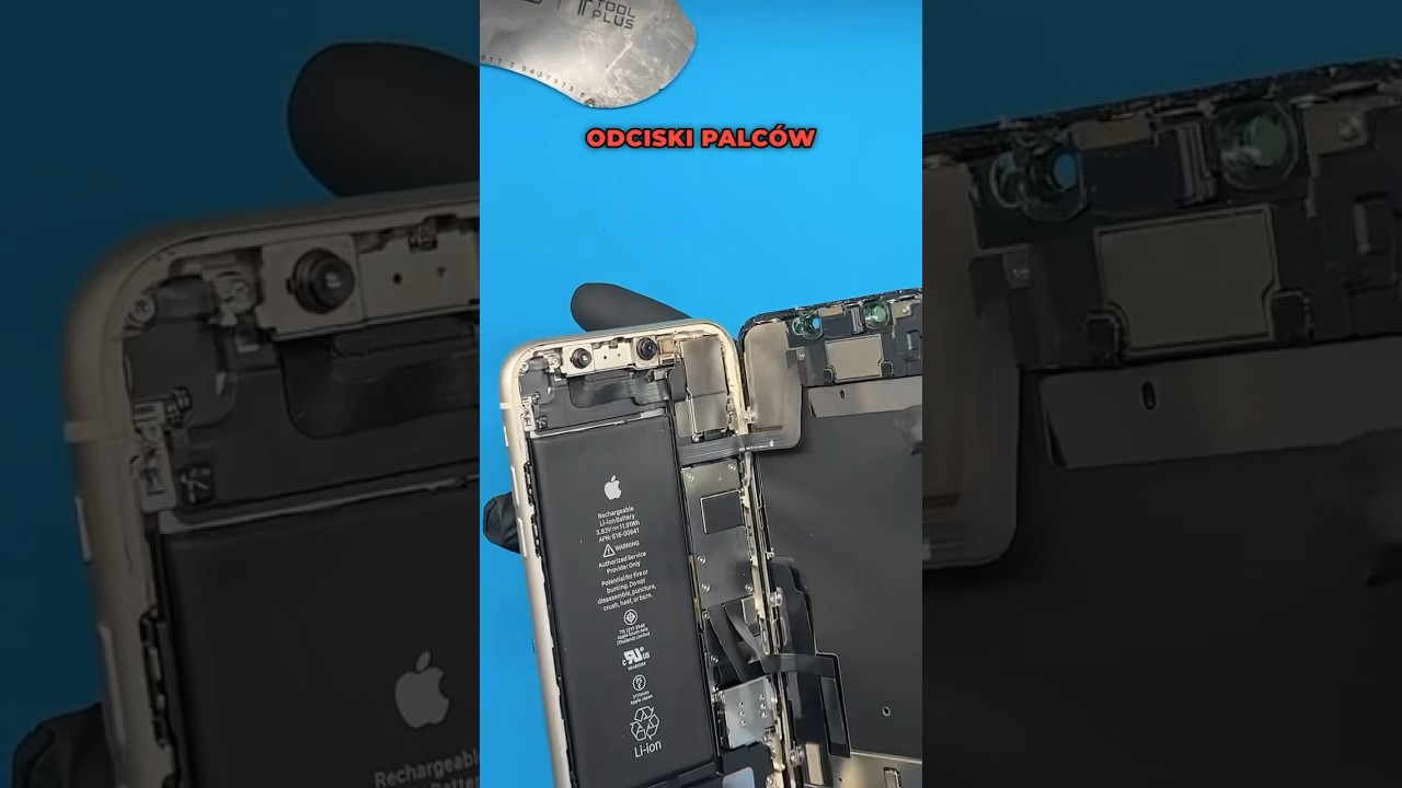 Wymiana ekranu w iPhone 11, jak zrobić to samemu ? 📱🍏 