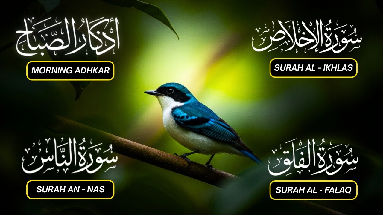 Magical Recitation Morning Dhikr (أذكار الصباح) | Listen Daily Source of Peace, Barakah & Protection