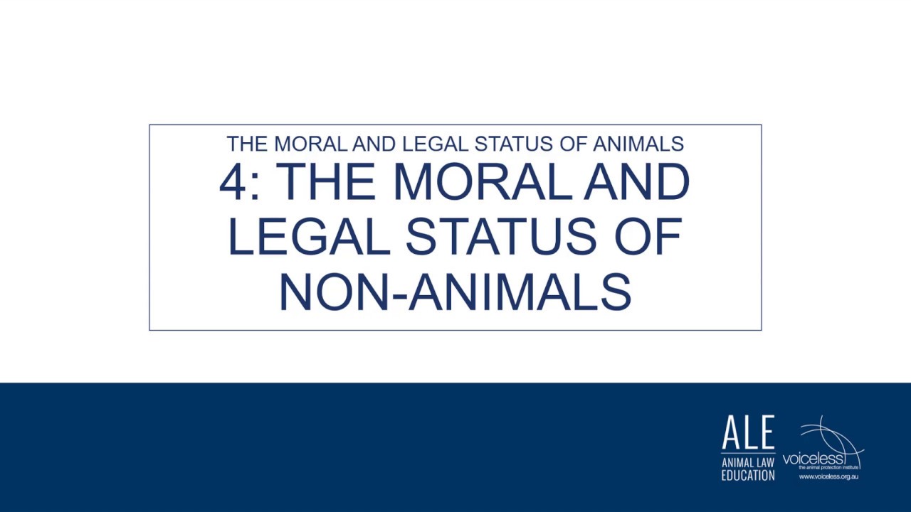 ALE Module 1  - Part 4: The Moral and Legal Status of Non-Animals