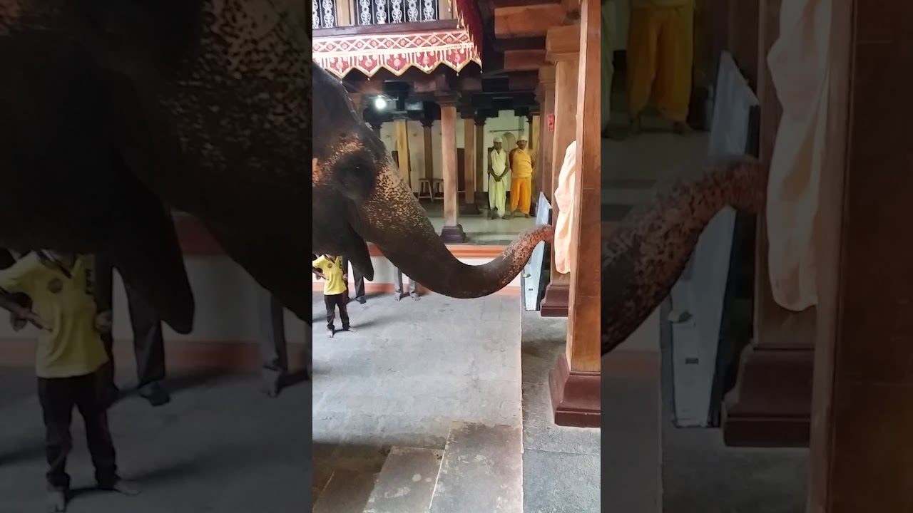 Nandani cha hatti