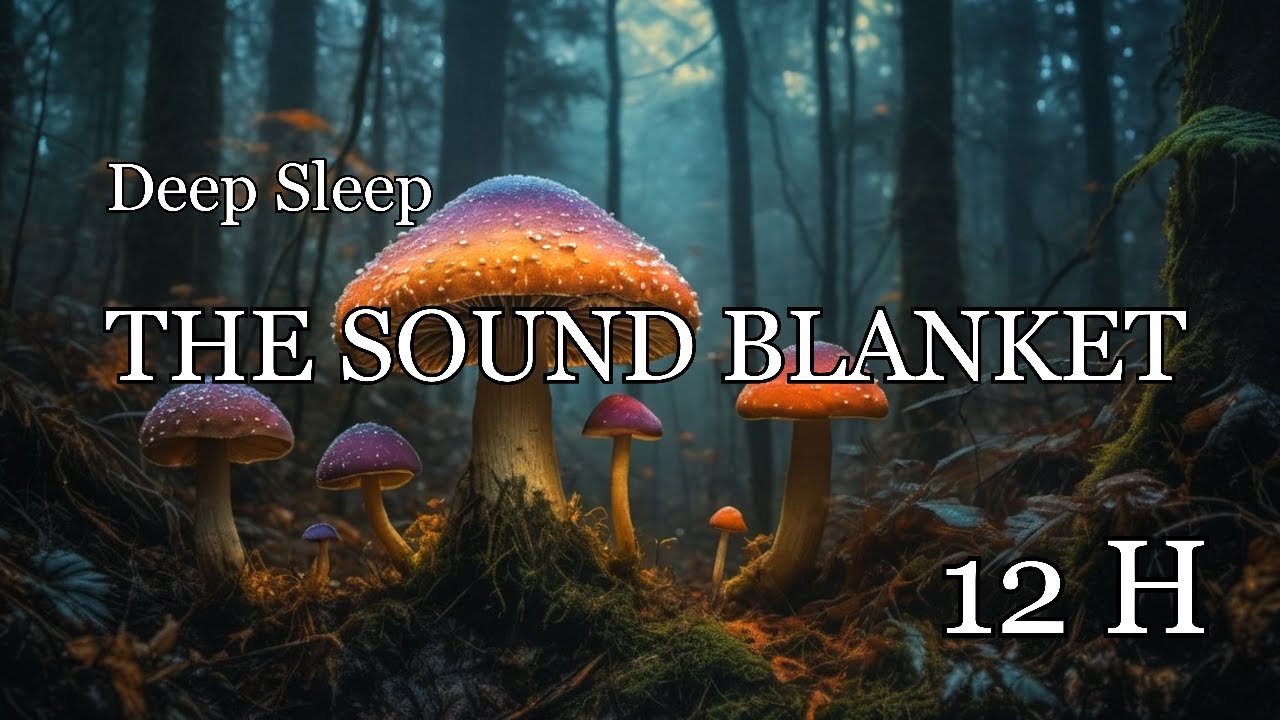 The Sound Blanket — Brown & Pink Noise with Night Forest Air