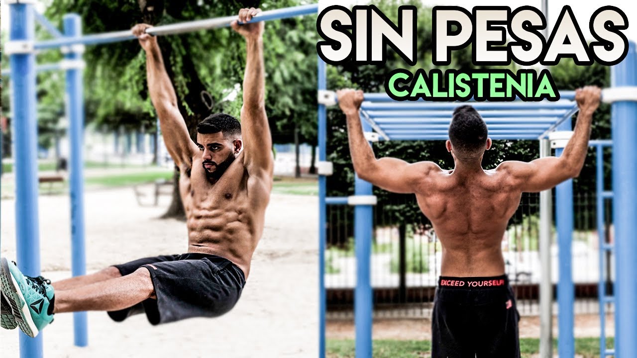 LOS MEJORES EJERCICIOS POR CADA GRUPO MUSCULAR SIN PESAS