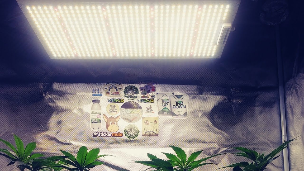 VIPARSPECTRA XS2000 led grow light unboxing and par test,so you want to be sponsored by #tnbnaturals