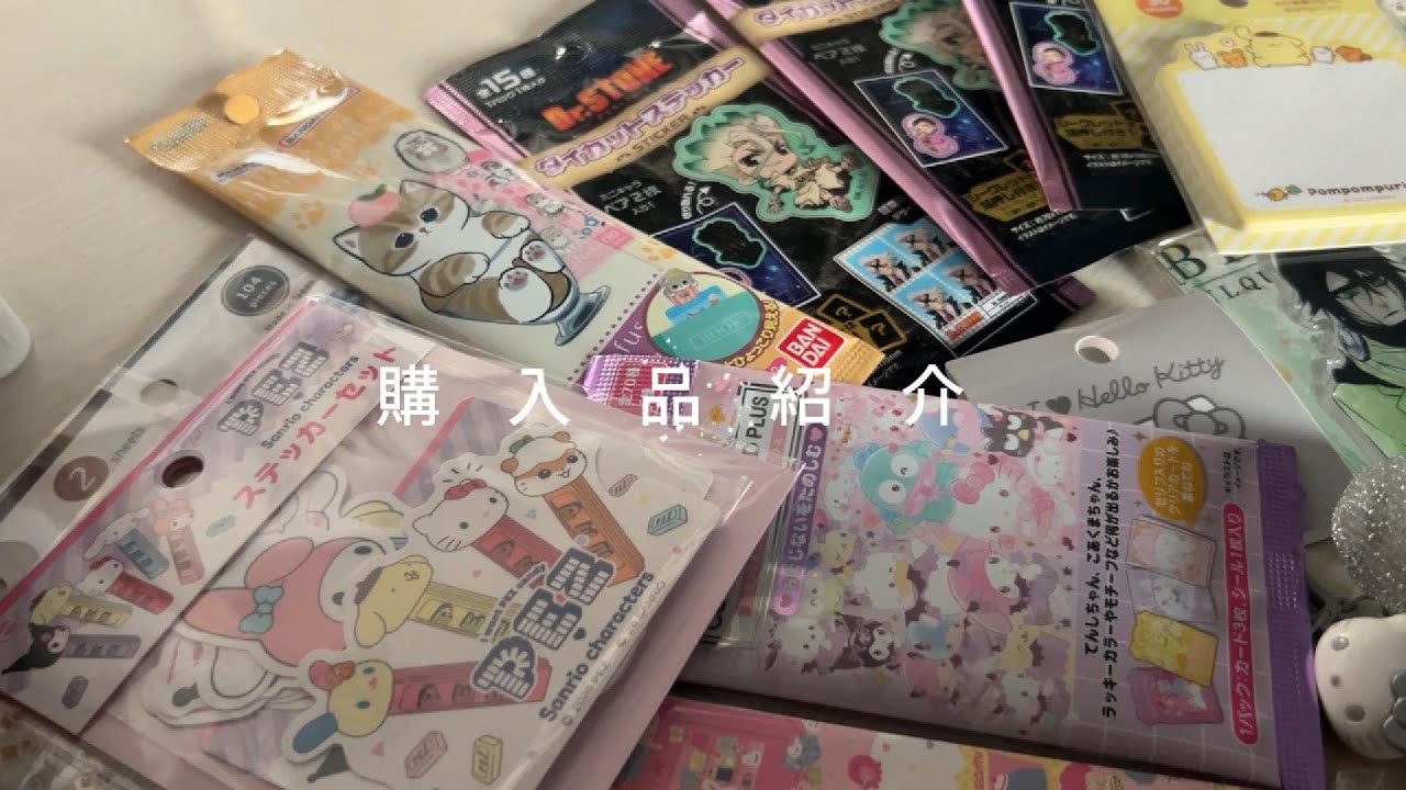 【推し活購入品紹介】サンリオショップ/セリア/DAISO/雑貨/キャラクター