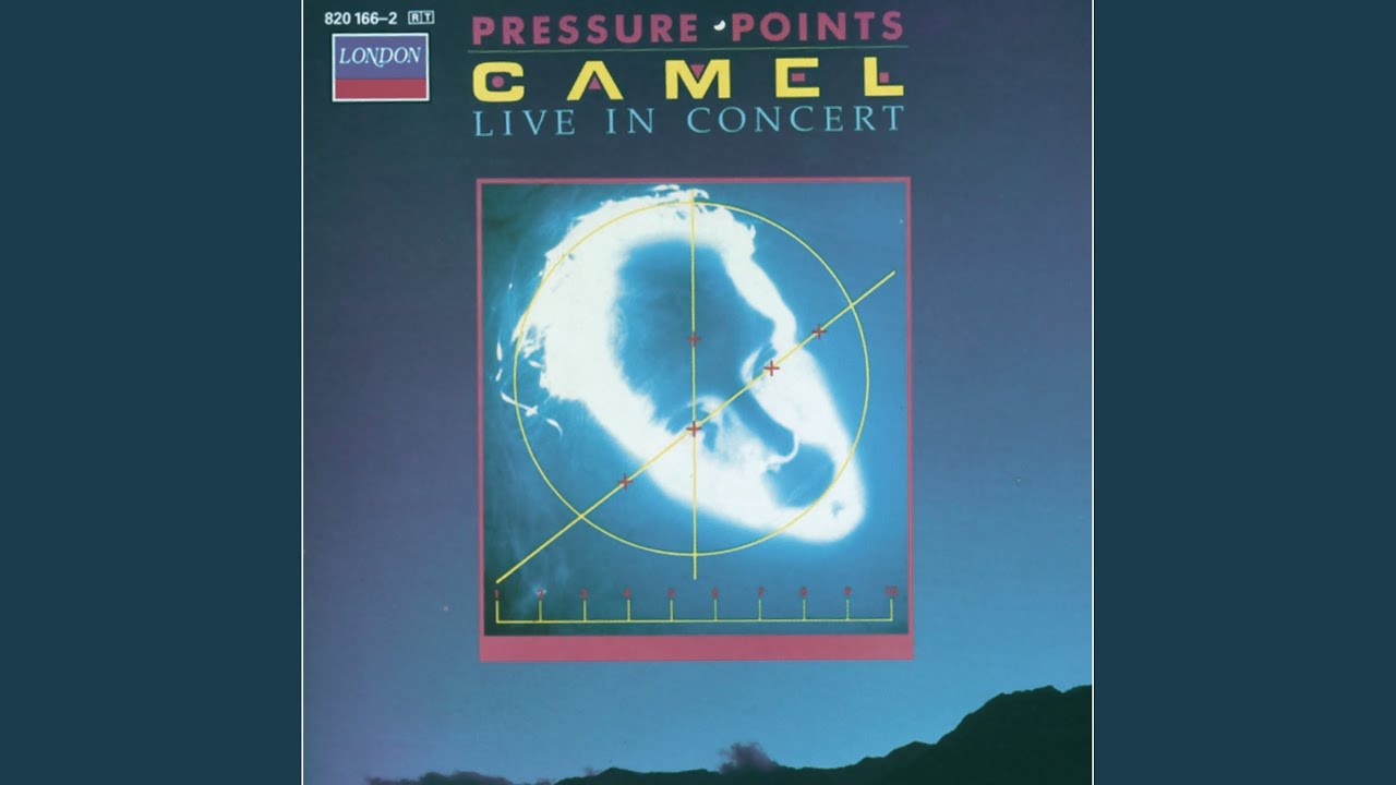 Long Goodbyes (Live At Hammersmith Odeon)