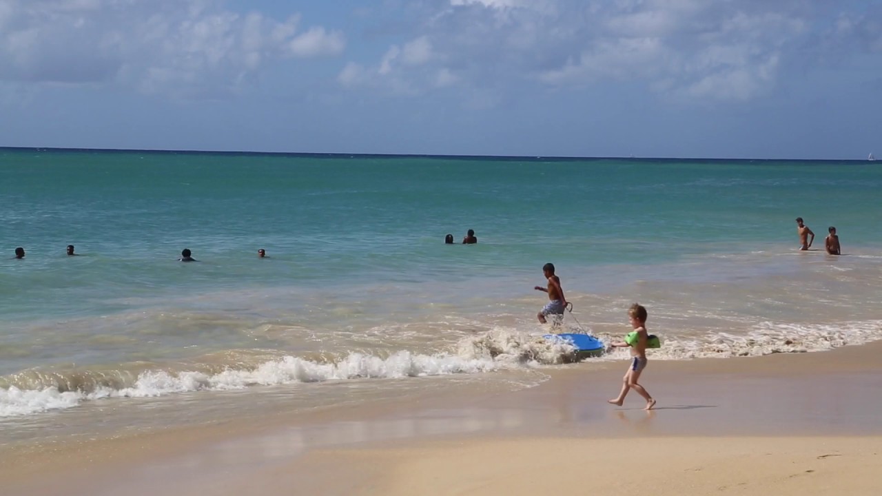 Martinique Les Salines Plage / Martinique Les Salines Beach