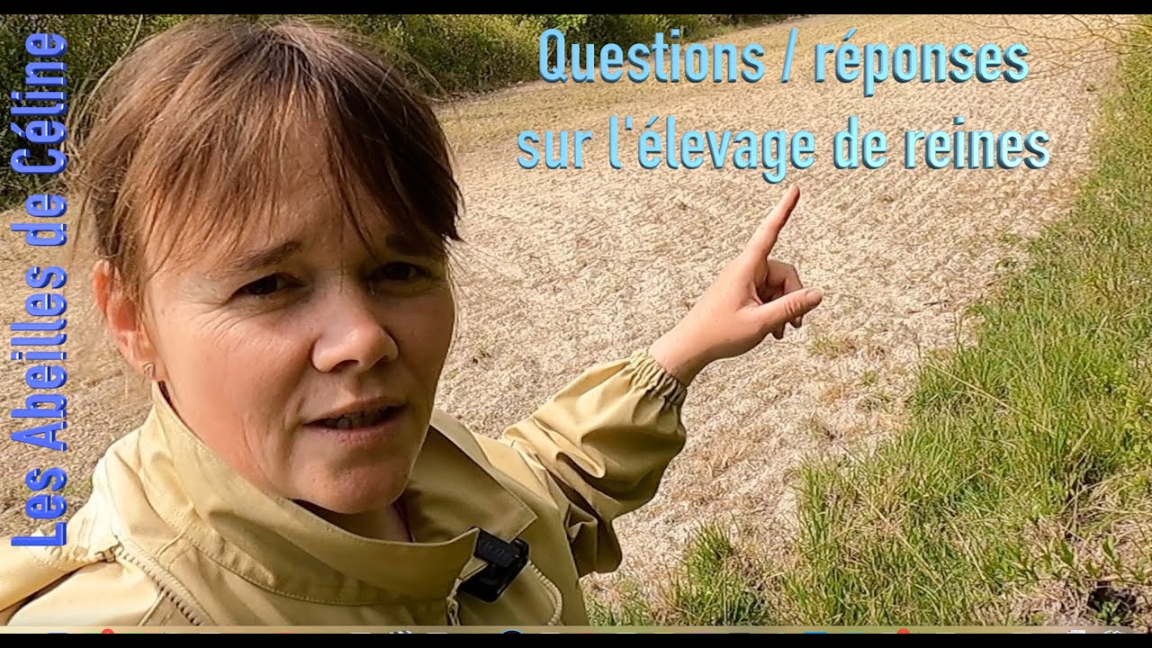 2 mai 2021 Questions/réponses sur l'élevage de reines.