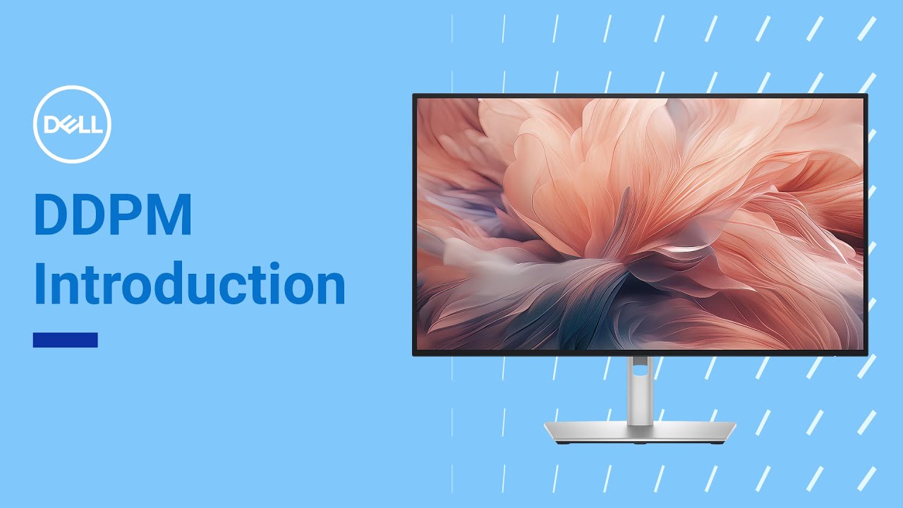 Dell Display and Peripheral Manager | Знакомство
