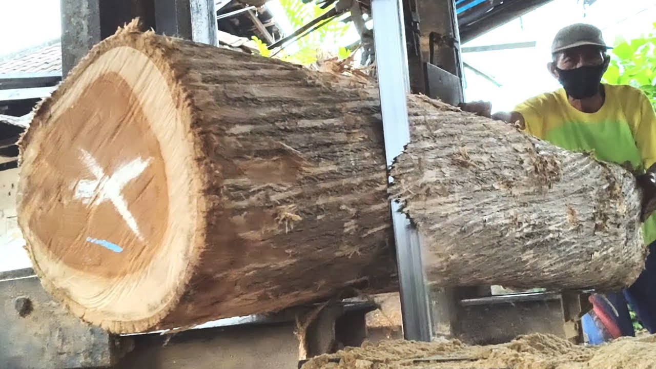 Rare discoveries in every grain of wood spark astonishing ideas at the sawmill