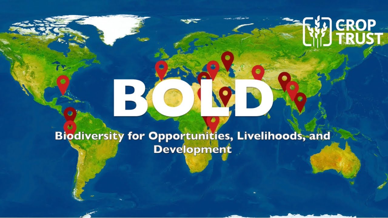 Supporting Genebanks: BOLD Reviews