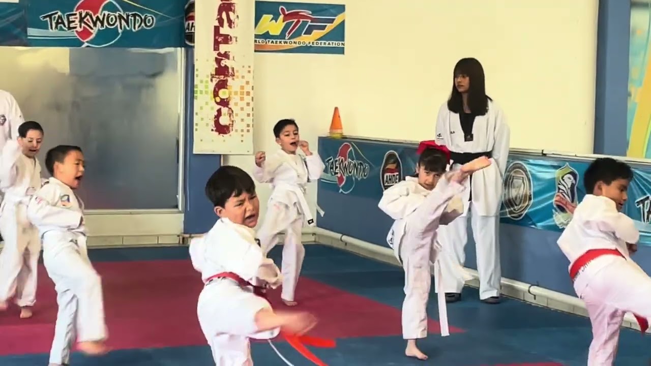Te invito a ver mi primer cambio de cinta en taekwondo 