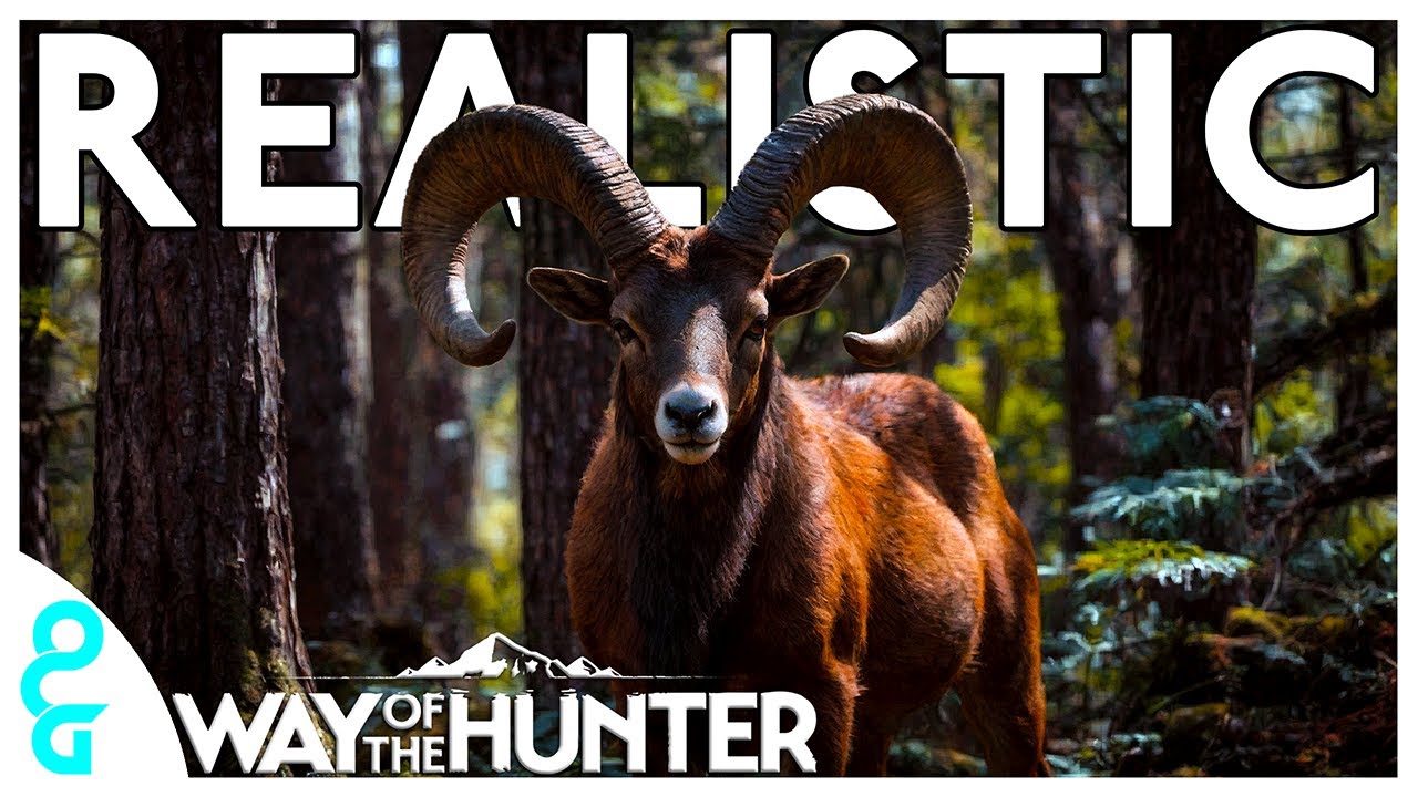Realistic MOUFLON Hunt, GIANT GIANT! | WAY OF THE HUNTER
